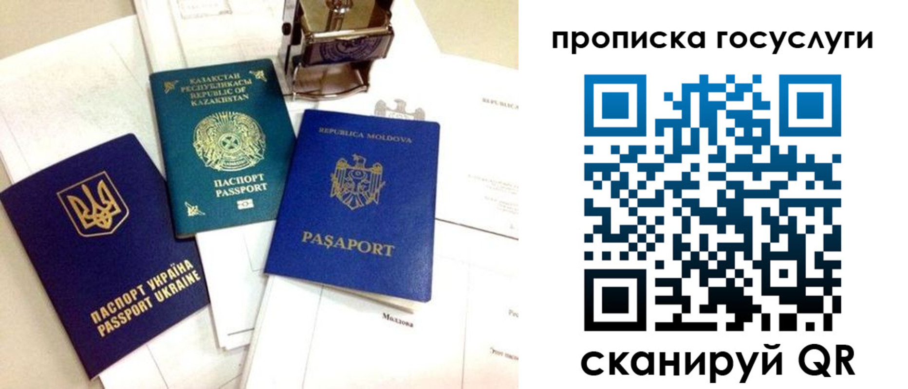 найти адрес прописки в Оленегорске